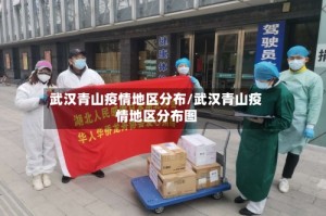 武汉青山疫情地区分布/武汉青山疫情地区分布图