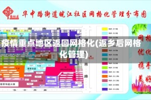 疫情重点地区返回网格化(返乡后网格化管理)