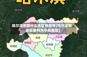 哈尔滨中部什么地区有疫情(哈尔滨那些区被列为中风险区)