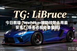 今日教程“WePoker辅助挂怎么用最安全”(曝光透视必备猫腻)