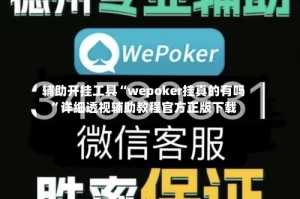 辅助开挂工具“wepoker挂真的有吗”详细透视辅助教程官方正版下载