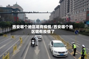 西安哪个地区呢有疫情/西安哪个地区呢有疫情了