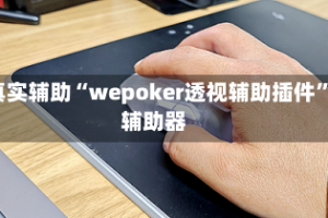 真实辅助“wepoker透视辅助插件”辅助器