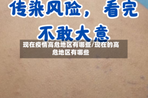现在疫情高危地区有哪些/现在的高危地区有哪些