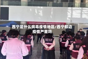 西宁是什么病毒疫情地区/西宁那边疫情严重吗