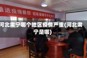 河北肃宁哪个地区疫情严重(河北肃宁是哪)