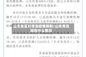 山东地区对青岛疫情限制/山东青岛现在什么情况