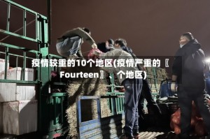 疫情较重的10个地区(疫情严重的〖Fourteen〗、个地区)