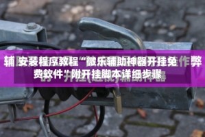 安装程序教程“微乐辅助神器开挂免费软件”附开挂脚本详细步骤