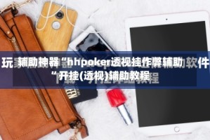 辅助神器“hhpoker透视挂作弊辅助”开挂(透视)辅助教程