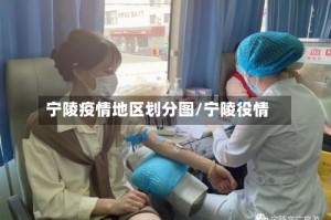 宁陵疫情地区划分图/宁陵役情