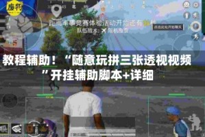教程辅助！“随意玩拼三张透视视频”开挂辅助脚本+详细
