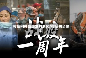 疫情刚开始爆发的地区/疫情初步爆发