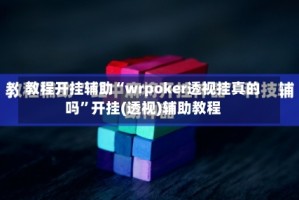 教程开挂辅助“wrpoker透视挂真的吗”开挂(透视)辅助教程