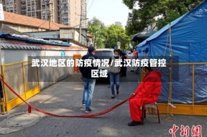 武汉地区的防疫情况/武汉防疫管控区域