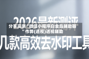 分享实测“微信小程序白金岛辅助器”作弊(透视)透视辅助