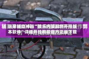 玩家辅助神器“微乐内蒙麻将开挂版本软件”详细开挂教程官方正版下载