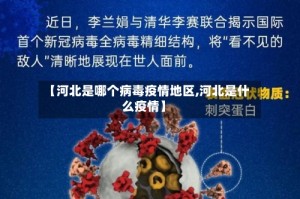 【河北是哪个病毒疫情地区,河北是什么疫情】