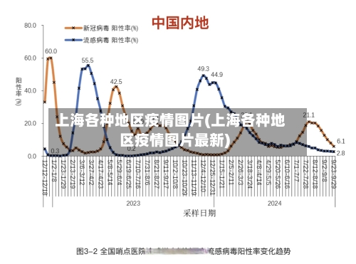 上海各种地区疫情图片(上海各种地区疫情图片最新)-第3张图片