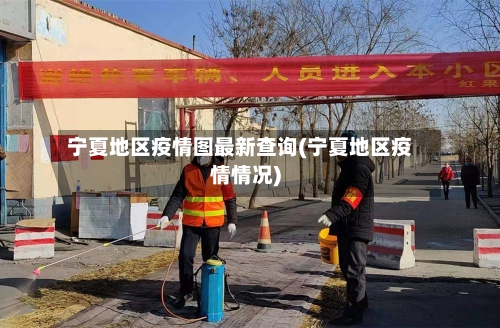 宁夏地区疫情图最新查询(宁夏地区疫情情况)-第1张图片