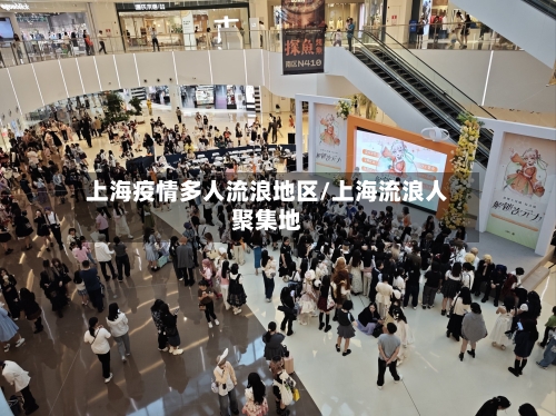 上海疫情多人流浪地区/上海流浪人聚集地-第1张图片