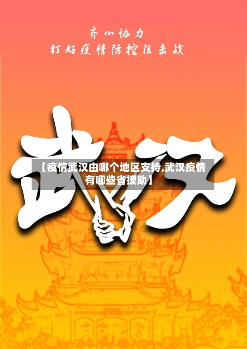【疫情武汉由哪个地区支持,武汉疫情有哪些省援助】-第3张图片