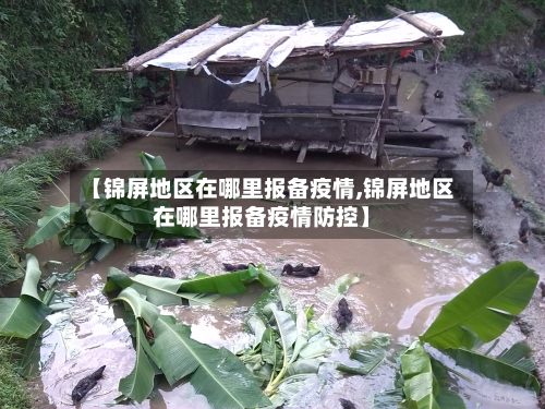 【锦屏地区在哪里报备疫情,锦屏地区在哪里报备疫情防控】-第2张图片