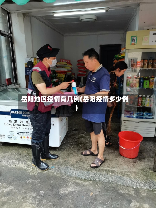 岳阳地区疫情有几例(岳阳疫情多少例)-第1张图片