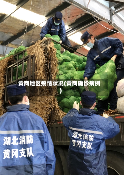 黄岗地区疫情状况(黄岗确诊病例)-第1张图片