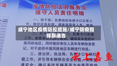 咸宁地区疫情防控措施/咸宁防疫指挥部通告-第2张图片