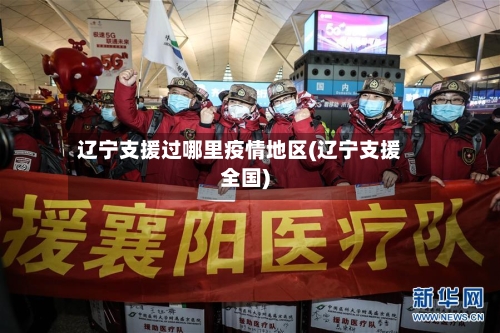辽宁支援过哪里疫情地区(辽宁支援全国)-第2张图片