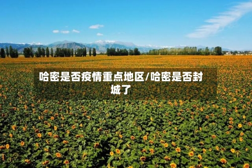 哈密是否疫情重点地区/哈密是否封城了-第2张图片