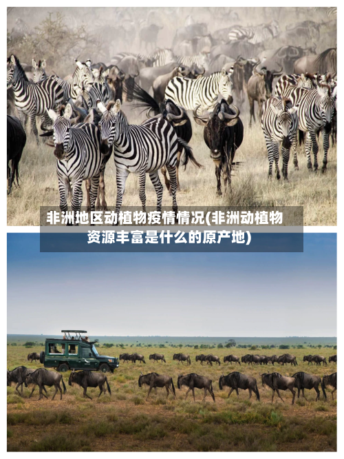 非洲地区动植物疫情情况(非洲动植物资源丰富是什么的原产地)-第2张图片