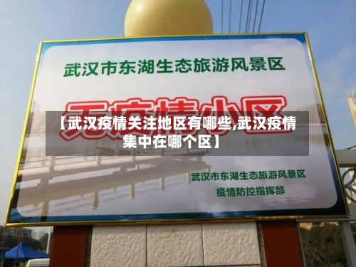【武汉疫情关注地区有哪些,武汉疫情集中在哪个区】-第1张图片