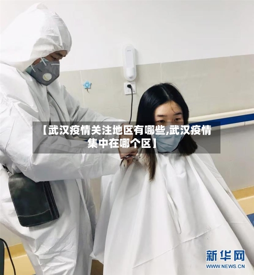 【武汉疫情关注地区有哪些,武汉疫情集中在哪个区】-第2张图片