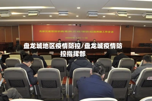 盘龙城地区疫情防控/盘龙城疫情防控指挥部-第3张图片