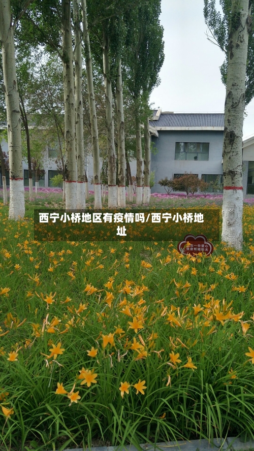 西宁小桥地区有疫情吗/西宁小桥地址-第1张图片