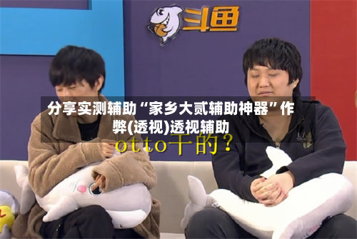 分享实测辅助“家乡大贰辅助神器”作弊(透视)透视辅助-第1张图片