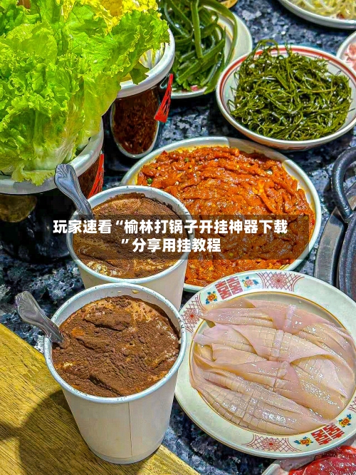 玩家速看“榆林打锅子开挂神器下载”分享用挂教程-第3张图片