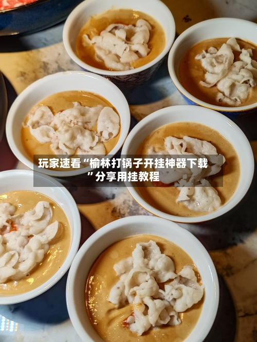 玩家速看“榆林打锅子开挂神器下载	”分享用挂教程-第2张图片