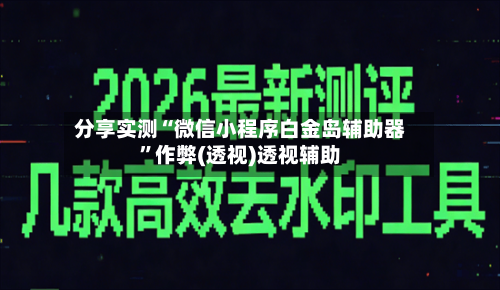 分享实测“微信小程序白金岛辅助器”作弊(透视)透视辅助-第2张图片