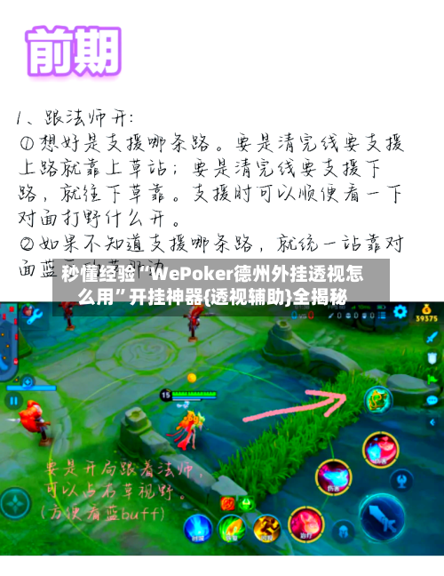 秒懂经验“WePoker德州外挂透视怎么用	”开挂神器{透视辅助}全揭秘-第2张图片