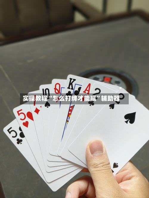 实操教程“怎么打牌才能赢”辅助器-第2张图片