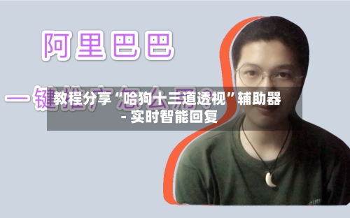 教程分享“哈狗十三道透视	”辅助器 - 实时智能回复-第1张图片