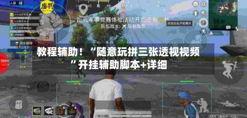 教程辅助！“随意玩拼三张透视视频”开挂辅助脚本+详细-第1张图片