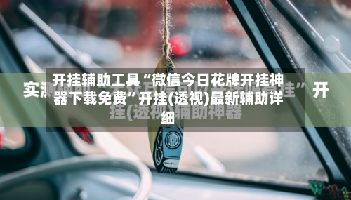 开挂辅助工具“微信今日花牌开挂神器下载免费”开挂(透视)最新辅助详细-第3张图片