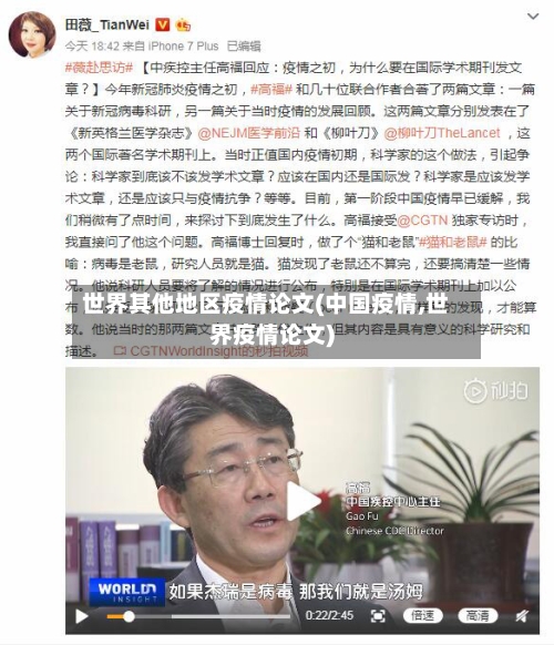 世界其他地区疫情论文(中国疫情,世界疫情论文)-第2张图片