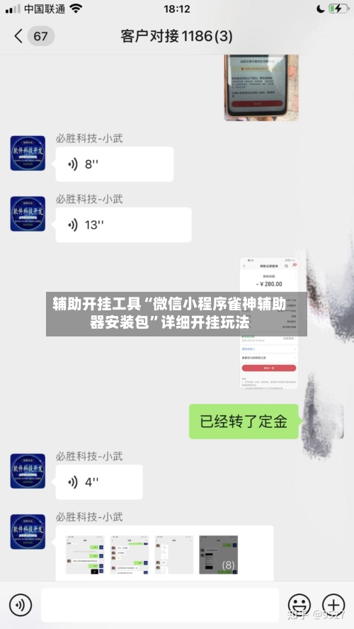 辅助开挂工具“微信小程序雀神辅助器安装包”详细开挂玩法-第1张图片