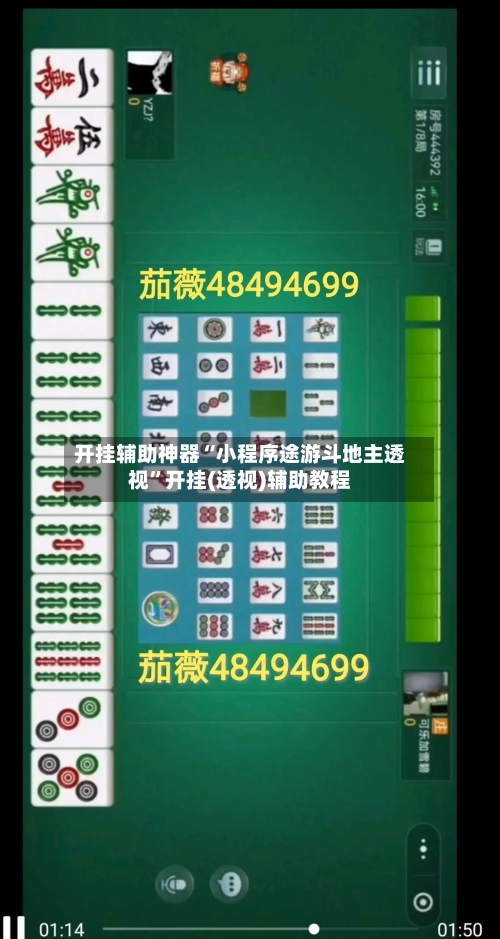 开挂辅助神器“小程序途游斗地主透视”开挂(透视)辅助教程-第3张图片