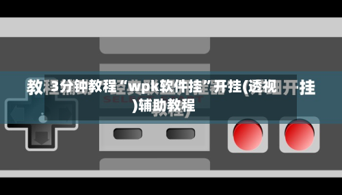 3分钟教程“wpk软件挂”开挂(透视)辅助教程-第1张图片